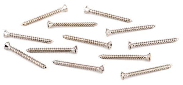 Genuine Fender Guitar Oval Head Neck Plate Mounting Screws, Chrome (12 Pack)