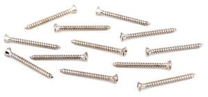 Genuine Fender Guitar Oval Head Neck Plate Mounting Screws, Chrome (12 Pack)