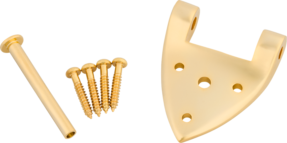 Bigsby B3/6C Gretsch Hinge with Hinge Pin and Screws, Gold