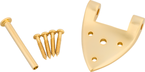 Bigsby B3/6C Gretsch Hinge with Hinge Pin and Screws, Gold