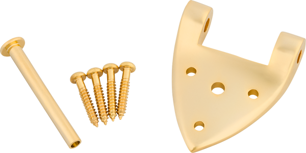 Bigsby B3/6C Gretsch Hinge with Hinge Pin and Screws, Gold