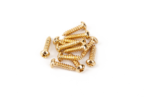 Genuine Fender Guitar Phillips Head GOLD Tuner/Machine Head Screws - Pkg of 12