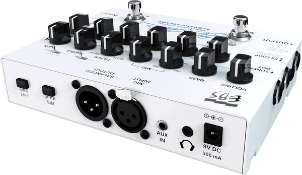 EBS Stanley Clarke Signature Acoustic Preamp
