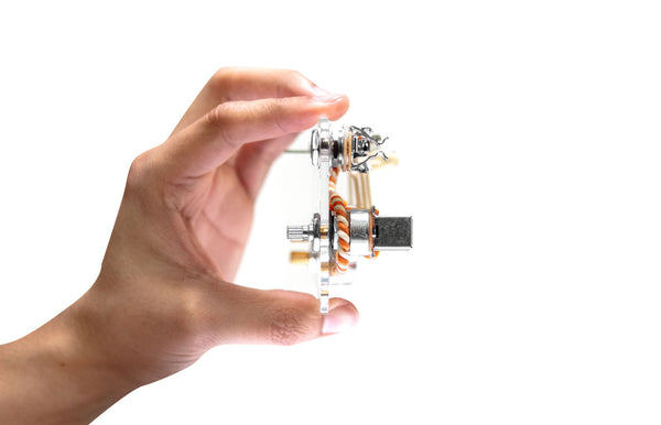 920D Custom Loaded S7W 7-Way Switch Wiring Harness Mod for S-Style Guitar