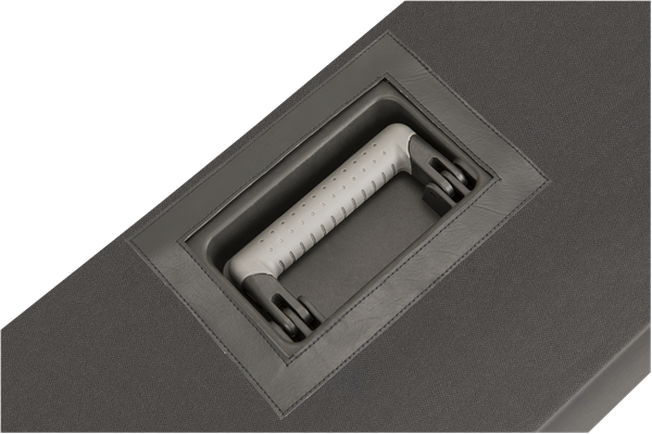 Fender Mustang GT 200 Amplifier Cover, Black 771-1781-000