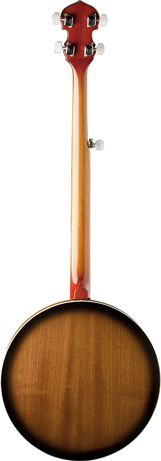 Washburn B9 Series 5-String Banjo