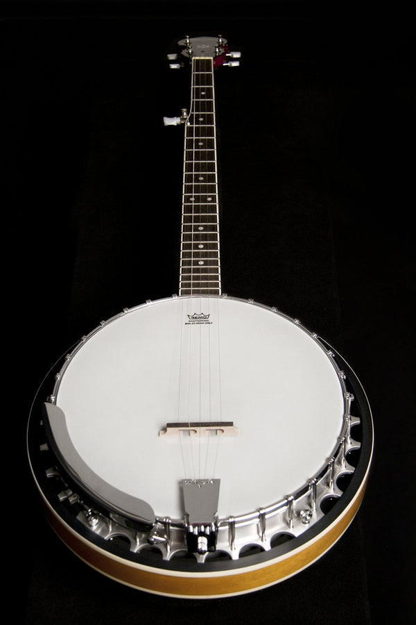 Washburn B9 Series 5-String Banjo
