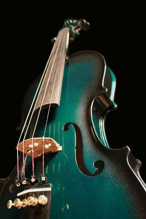 Barcus-Berry Vibrato-AE Acoustic-Electric Violin Outfit w/ Case - Green