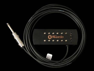 DiMarzio DP138 Virtual Acoustic Guitar Soundhole Pickup with Volume Control