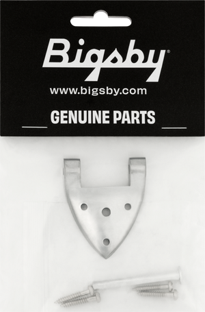 Bigsby B3/6C Gretsch Hinge with Hinge Pin and Screws, Chrome, 006-1720-006