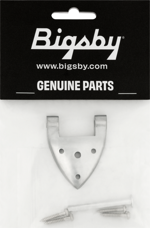 Bigsby B3/6C Gretsch Hinge with Hinge Pin and Screws, Chrome, 006-1720-006