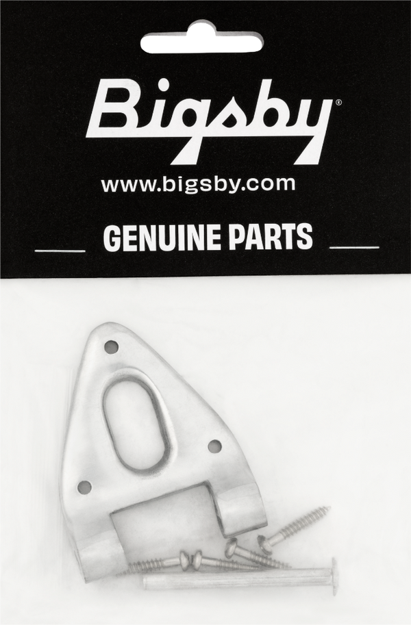 Bigsby Conventional Hinge w/ Hinge Pin and Screws, Polished Chrome, 180-0037-006