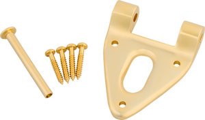 Bigsby Conventional Hinge w/ Hinge Pin and Screws, Gold, 180-0038-006