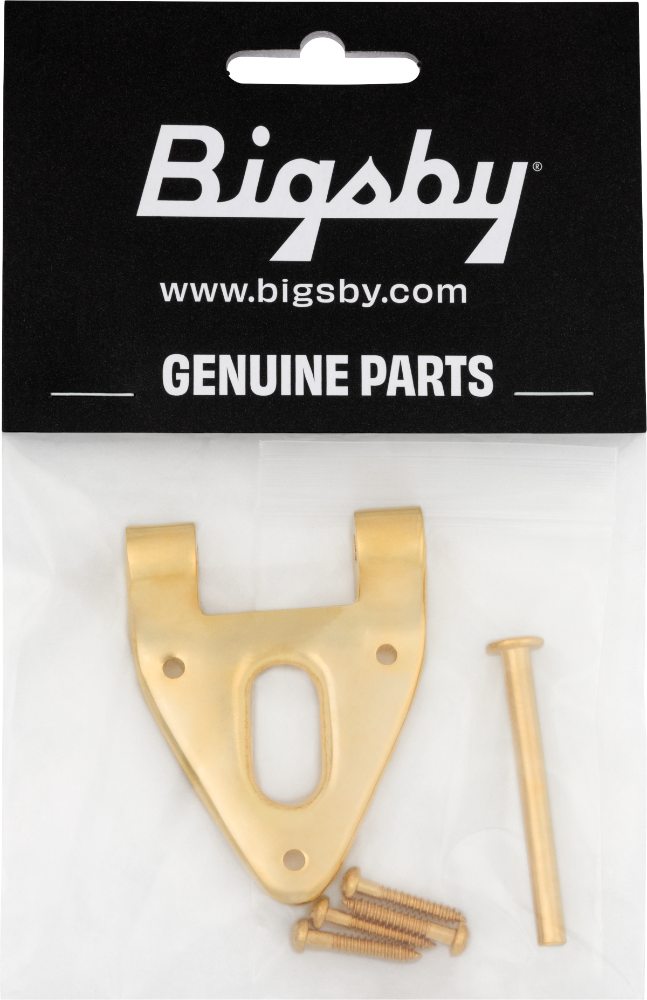 Bigsby Conventional Hinge w/ Hinge Pin and Screws, Gold, 180-0038-006