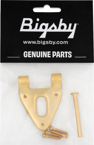 Bigsby Conventional Hinge w/ Hinge Pin and Screws, Gold, 180-0038-006