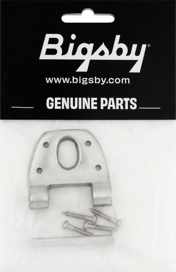 Bigsby Extra Short Hinge, w/ Hinge Pin and Screws, Polished Chrome, 180-0041-006