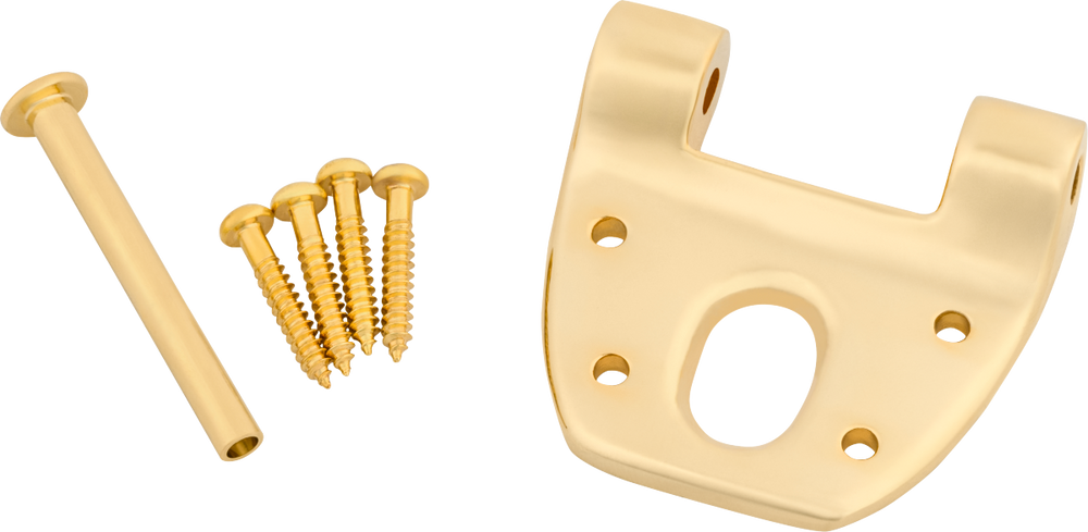 Bigsby Extra Short Hinge, w/ Hinge Pin and Screws, Gold, 180-0042-006