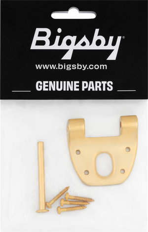 Bigsby Extra Short Hinge, w/ Hinge Pin and Screws, Gold, 180-0042-006