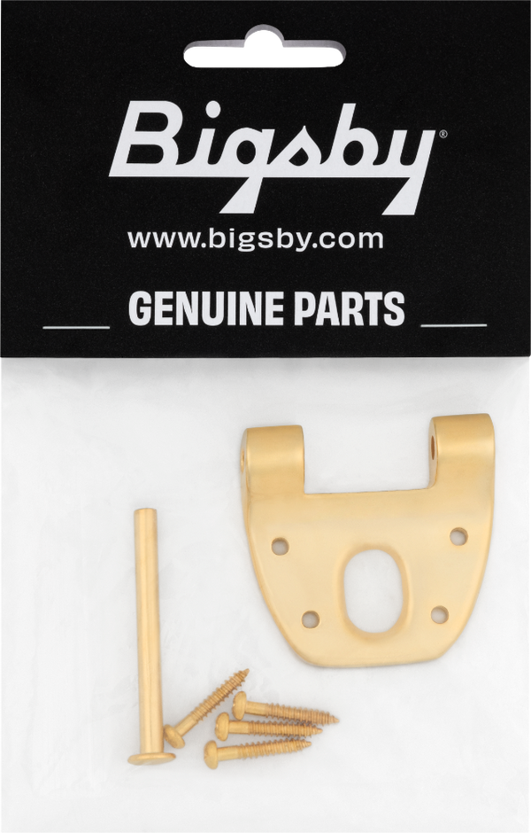 Bigsby Extra Short Hinge, w/ Hinge Pin and Screws, Gold, 180-0042-006
