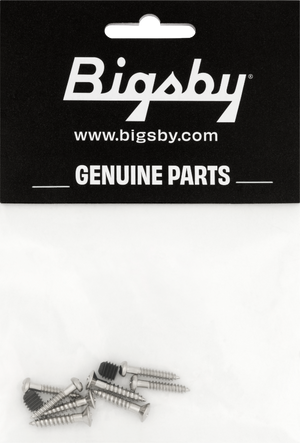 Genuine Bigsby Replacement Screw Pack, Chrome, 180-2775-010