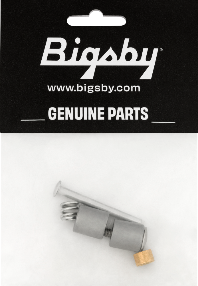 Genuine Bigsby Small Parts Pack Bearing/Spring//Nut/Pins/Stud, Polished Aluminum