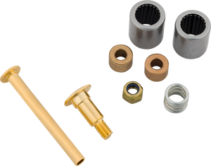 Genuine Bigsby Small Parts Pack Bearing/Spring//Nut/Pins/Stud, Gold