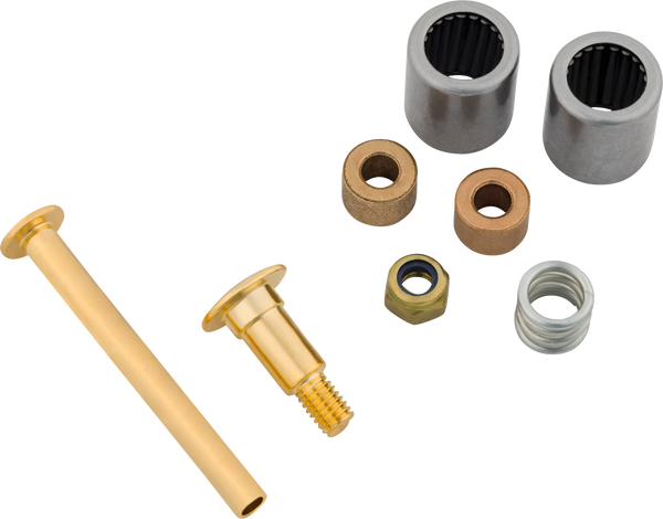 Genuine Bigsby Small Parts Pack Bearing/Spring//Nut/Pins/Stud, Gold