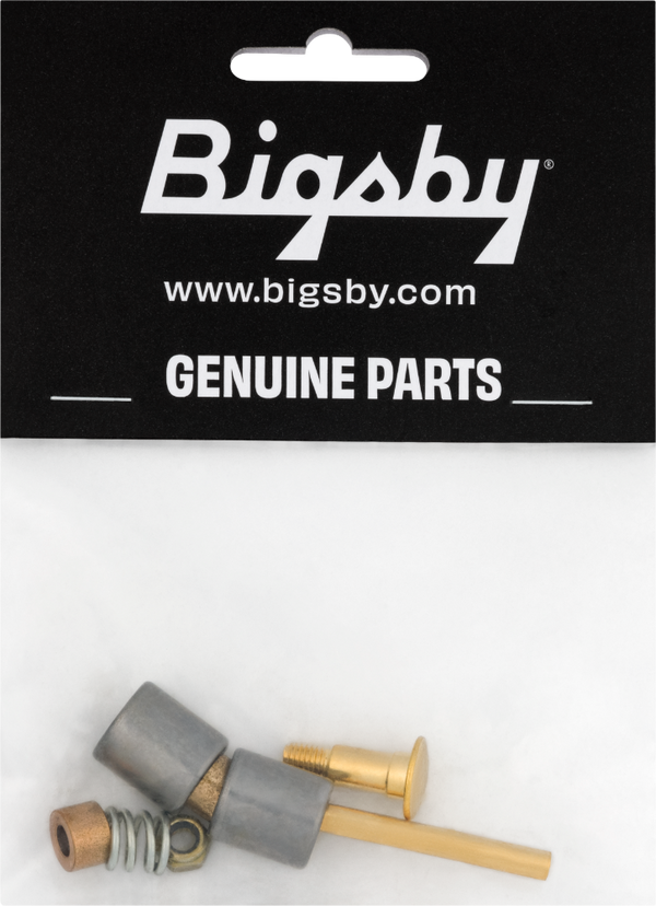 Genuine Bigsby Small Parts Pack Bearing/Spring//Nut/Pins/Stud, Gold