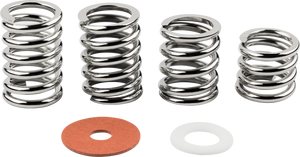 Genuine Bigsby Steel Tremolo Multi-Spring and Washer Pack, Steel