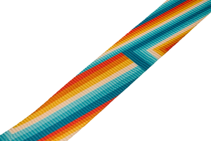 Genuine Fender Retro Series Guitar Strap, Rainbow