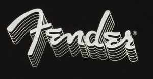Genuine Fender Guitars Reflective Logo Hoodie Sweatshirt, Black, S, Small
