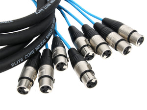 Elite Core 8 Channel 10' ft Fan-to-Fan Audio Cable XLR Stage Snake - PEX810