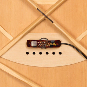 LR Baggs LYRIC Acoustic Guitar Microphone Pickup w/ TRU-MIC Noise Cancelling