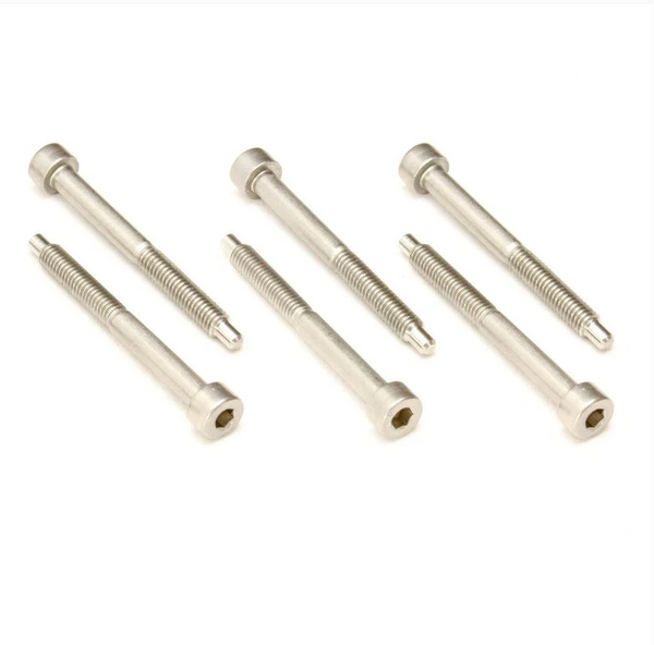 Genuine Floyd Rose FROSLSSSP Stainless Steel String Lock Screws, Set of 6