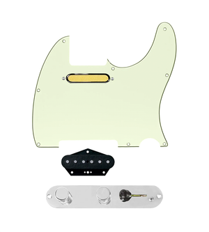 920D Custom Gold Foil Loaded Pickguard for Tele With Mint Green Pickguard and T3W-REV-C Control Plate