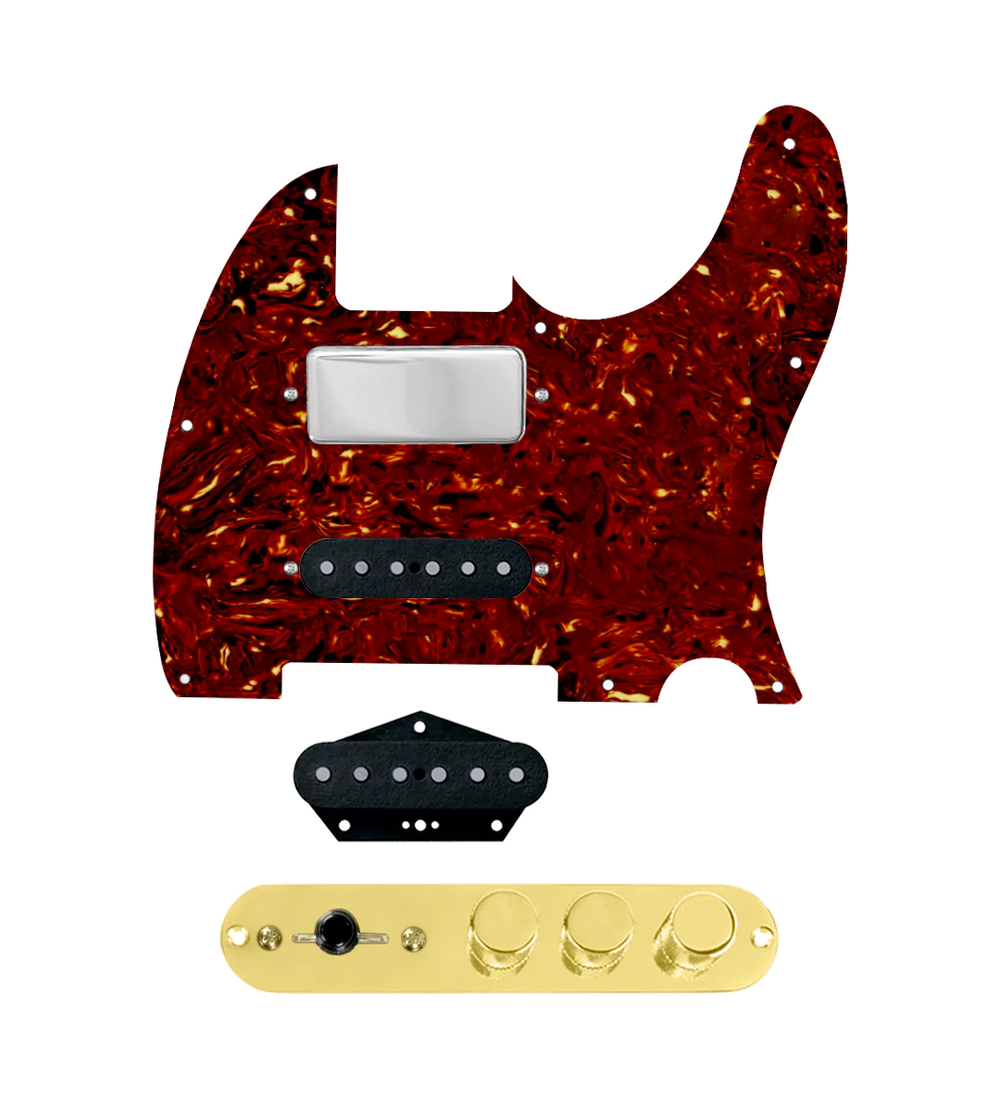 920D Custom Mason Style Loaded Pickguard for Nashville Tele With Tortoise Pickguard and TMAS-G Control Plate