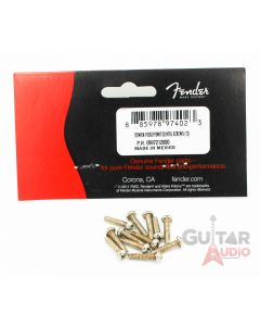 (12) Genuine Fender ROAD WORN Nickel Guitar Pickup Switch Mounting Screws