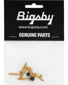 Genuine Bigsby Replacement Screw Pack, Gold, 180-2774-010