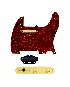 920D Custom Gold Foil Loaded Pickguard for Tele With Tortoise Pickguard and T3W-G Control Plate