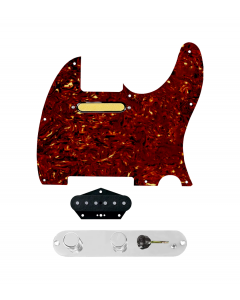 920D Custom Gold Foil Loaded Pickguard for Tele With Tortoise Pickguard and T3W-REV-C Control Plate