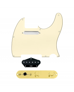 920D Custom Texas Grit Loaded Pickguard for Tele With Aged White Pickguard and T3W-G Control Plate