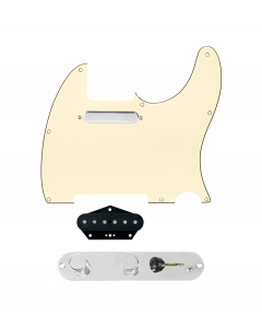 920D Custom Texas Grit Loaded Pickguard for Tele With Aged White Pickguard and T3W-REV-C Control Plate