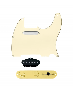 920D Custom Texas Grit Loaded Pickguard for Tele With Aged White Pickguard and T4W-REV-G Control Plate