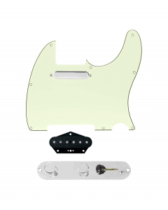 920D Custom Texas Grit Loaded Pickguard for Tele With Mint Green Pickguard and T3W-REV-C Control Plate