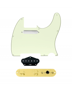 920D Custom Texas Grit Loaded Pickguard for Tele With Mint Green Pickguard and T4W-REV-G Control Plate