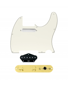 920D Custom Texas Grit Loaded Pickguard for Tele With Parchment Pickguard and T3W-REV-G Control Plate