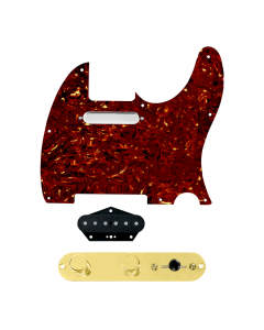 920D Custom Texas Grit Loaded Pickguard for Tele With Tortoise Pickguard and T3W-REV-G Control Plate