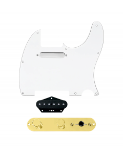 920D Custom Texas Grit Loaded Pickguard for Tele With White Pickguard and T3W-REV-G Control Plate