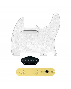 920D Custom Texas Grit Loaded Pickguard for Tele With White Pearl Pickguard and T3W-REV-G Control Plate