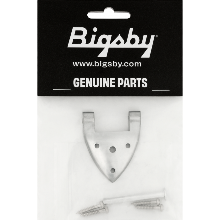 Bigsby B3/6C Gretsch Hinge with Hinge Pin and Screws, Chrome, 006-1720-006